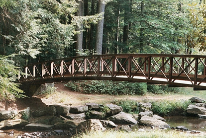 A bridge into the future