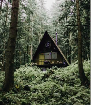Cabin in the woods