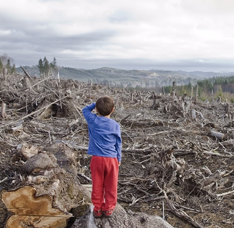 boy in a clear cut forest